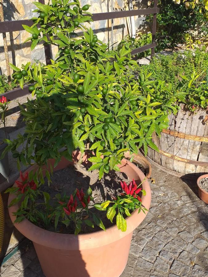 Appartamento House Ida Scafati Dış mekan fotoğraf