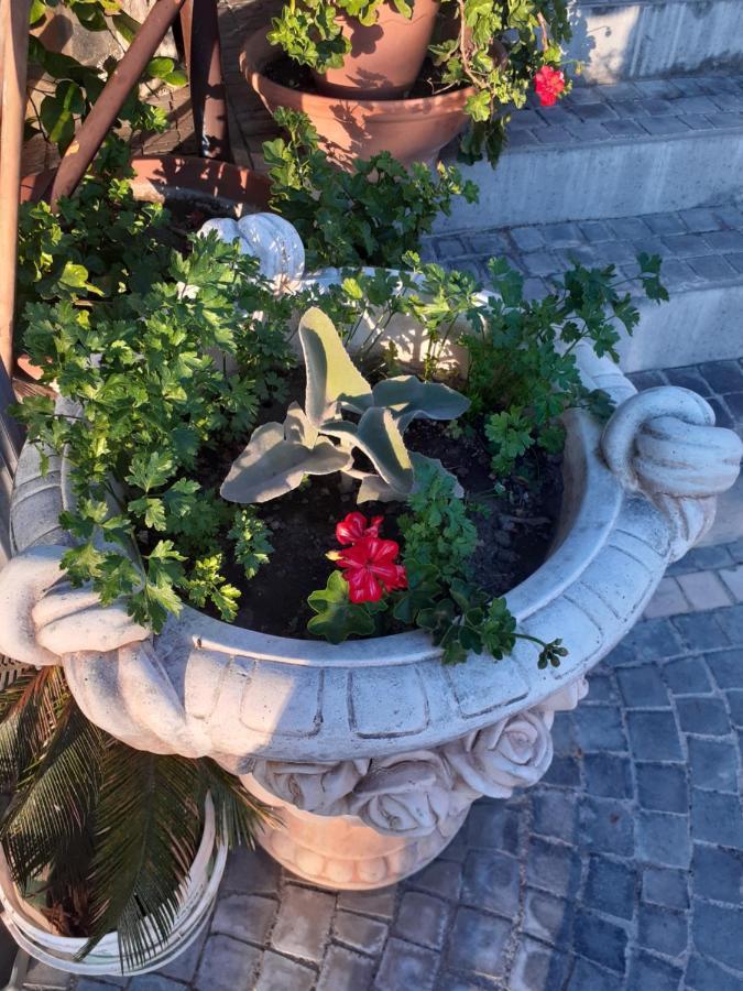 Appartamento House Ida Scafati Dış mekan fotoğraf